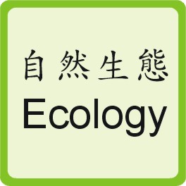Ecology Travel
自然生態旅遊